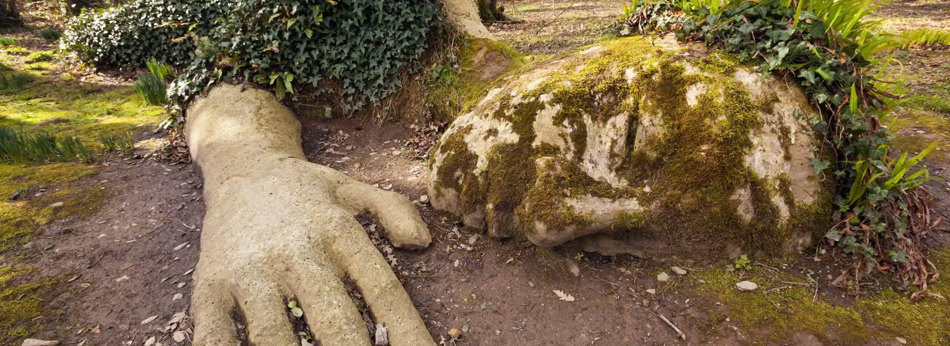 Campsites near the Lost Gardens of Heligan