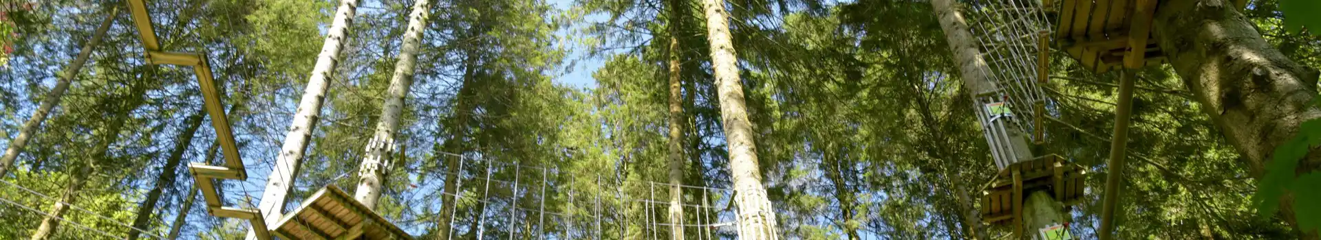 Campsites near Grizedale Forest