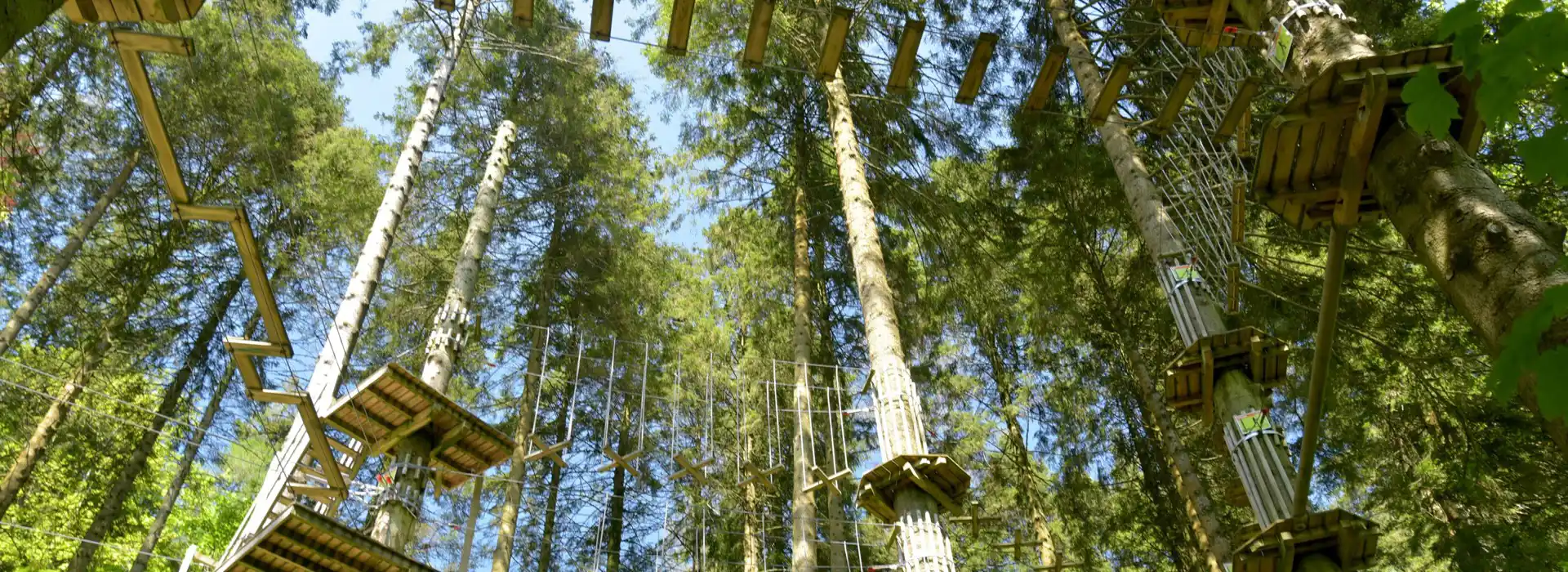 Campsites near Grizedale Forest