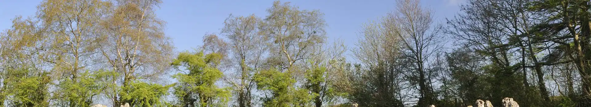 Campsites near the Rollright Stones