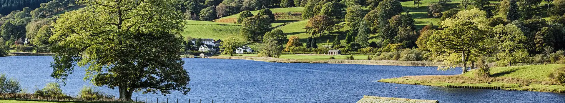 Campsites near Esthwaite Water