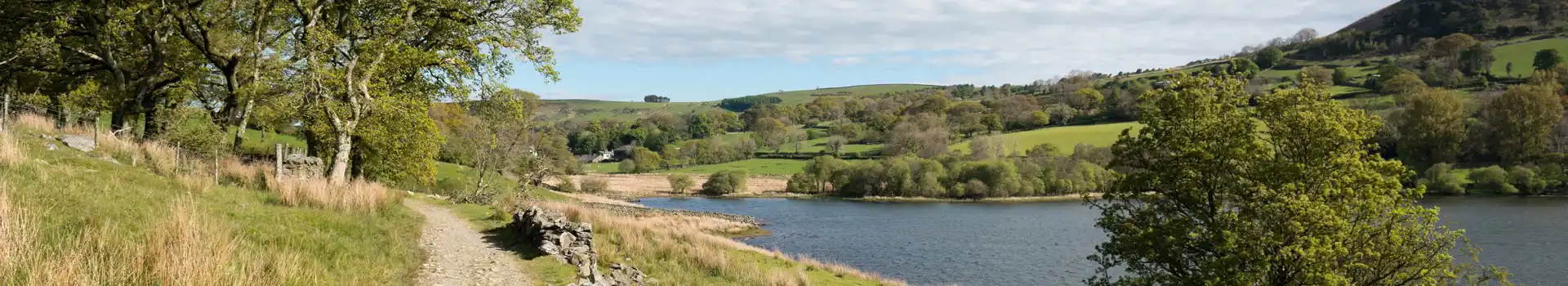 Campsites near Loweswater
