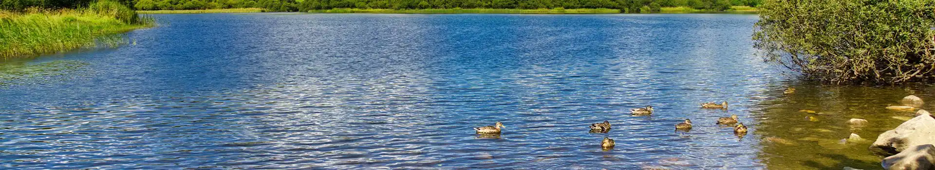 Campsites near Elterwater