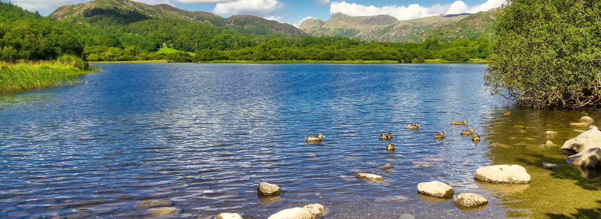 Campsites near Elterwater 