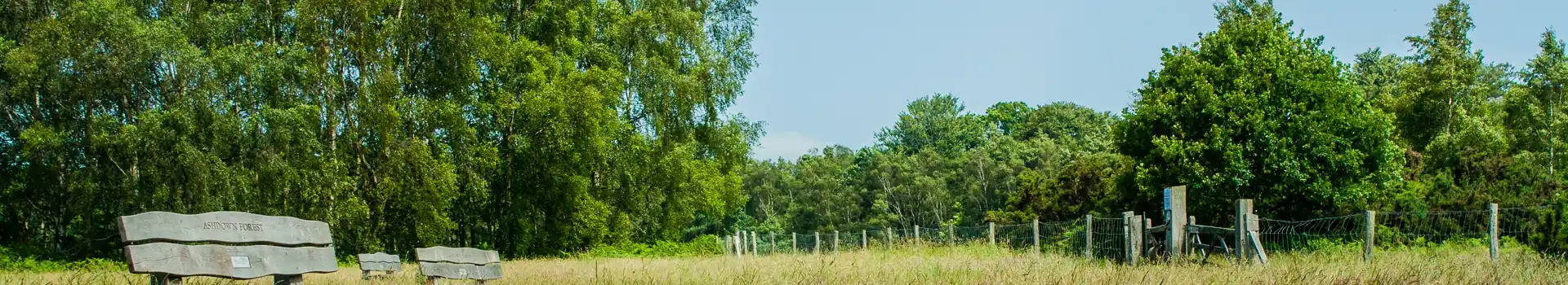Ashdown Forest campsites