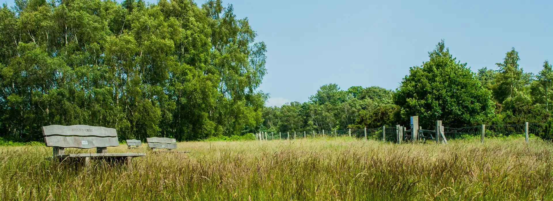 Ashdown Forest campsites