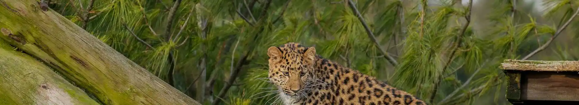 Campsites near Yorkshire Wildlife Park