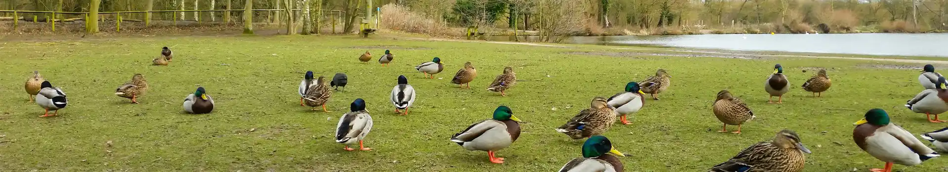 Campsites near Kingsbury Water Park
