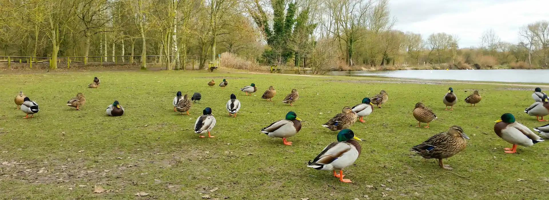 Campsites near Kingsbury Water Park