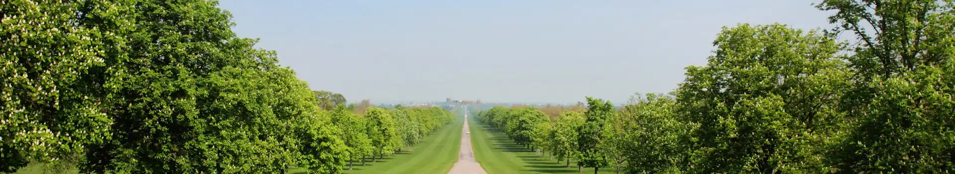Campsites near Windsor Great Park