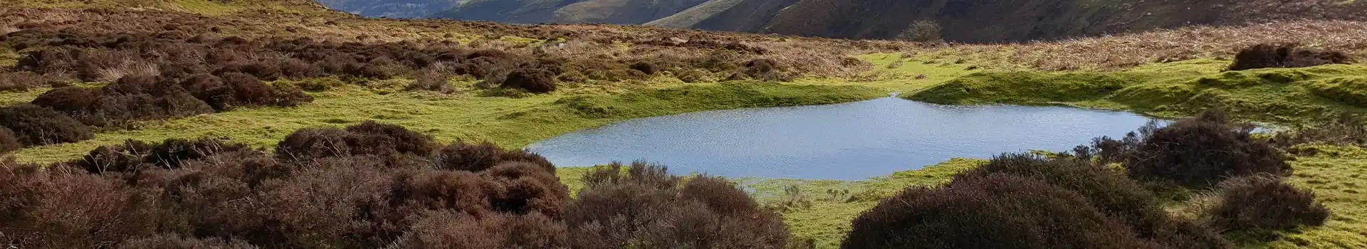 Campsites near Long Mynd
