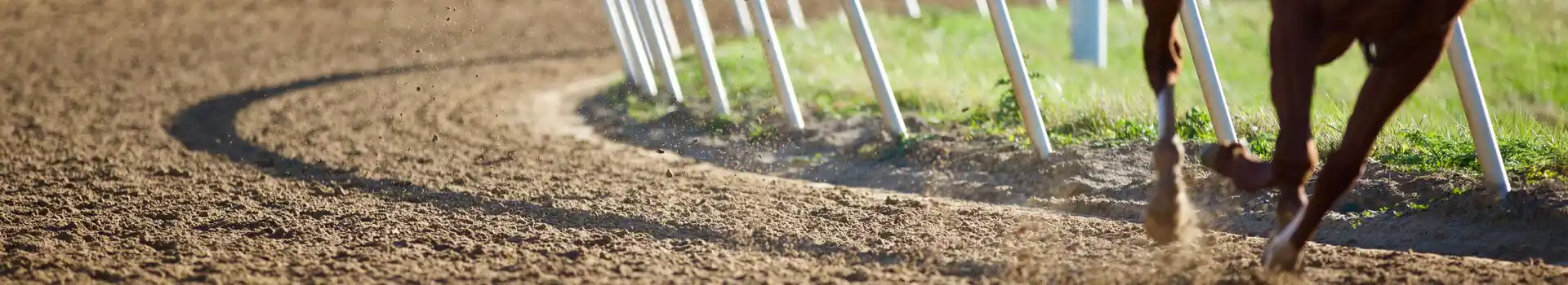 campsites near Chelmsford City Racecourse
