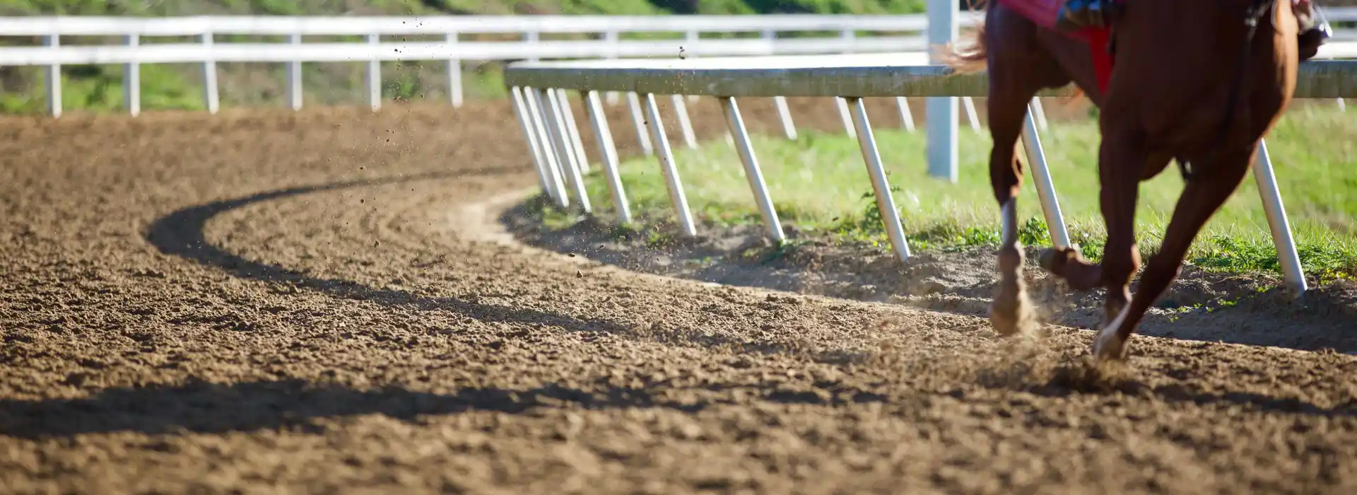 campsites near Chelmsford City Racecourse