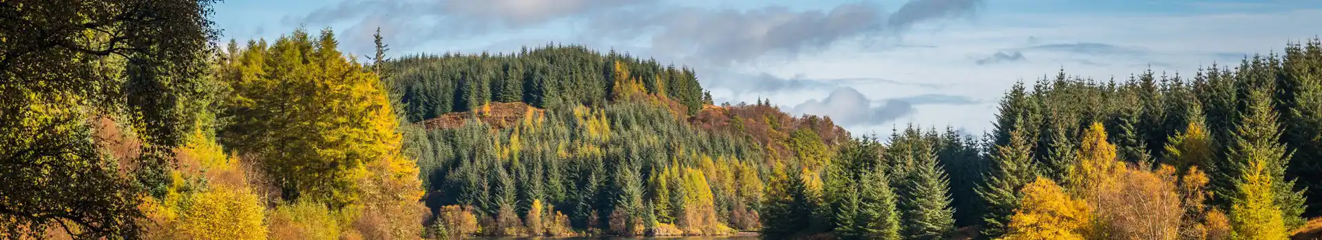 Queen Elizabeth Forest Park