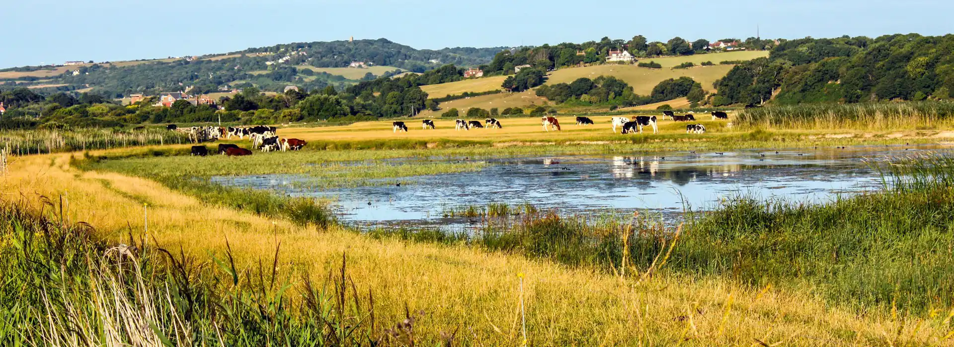 Romney Marsh campsites