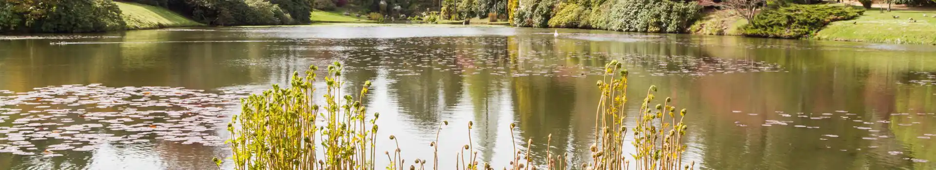 Campsites near Sheffield Park