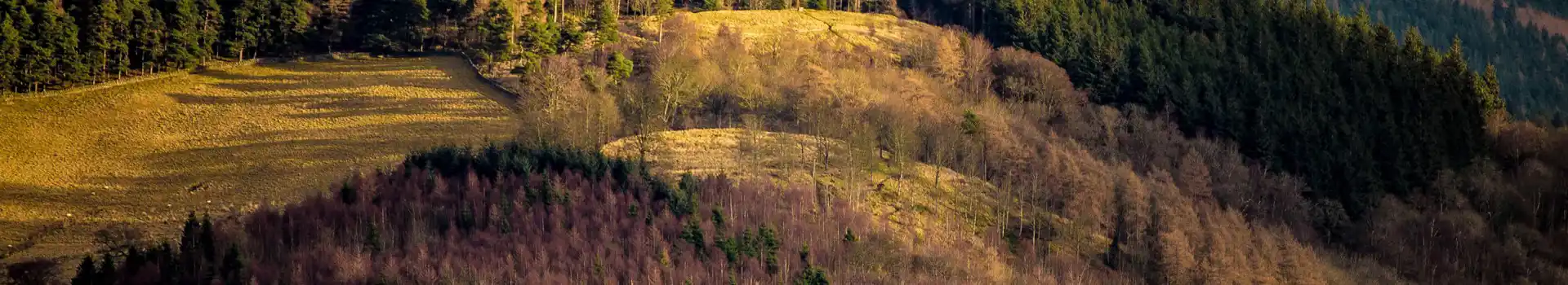 Campsites near Glentress Forest