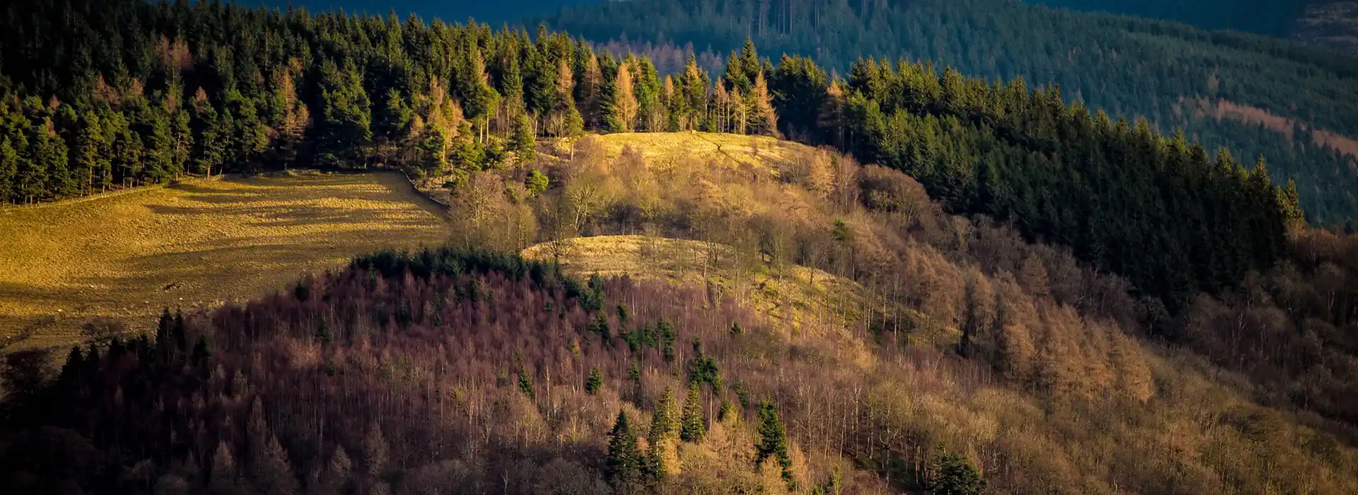 Campsites near Glentress Forest