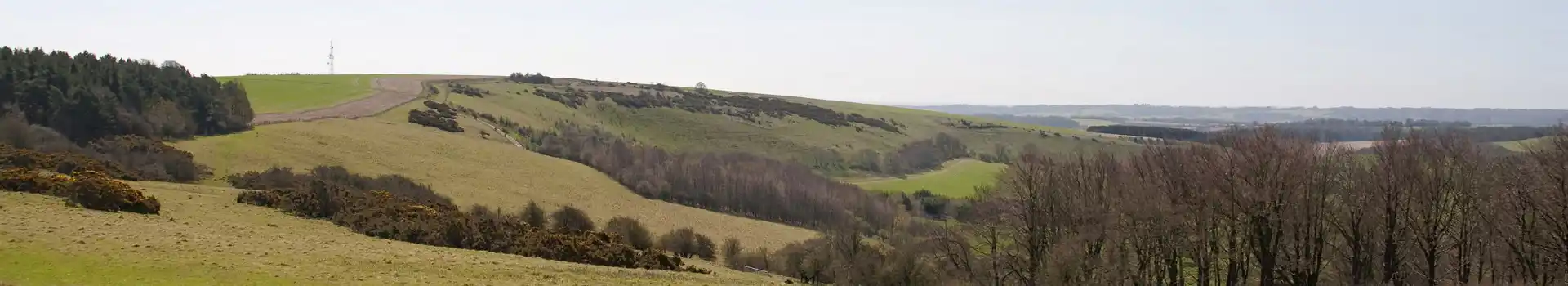 Campsites near Walbury Hill