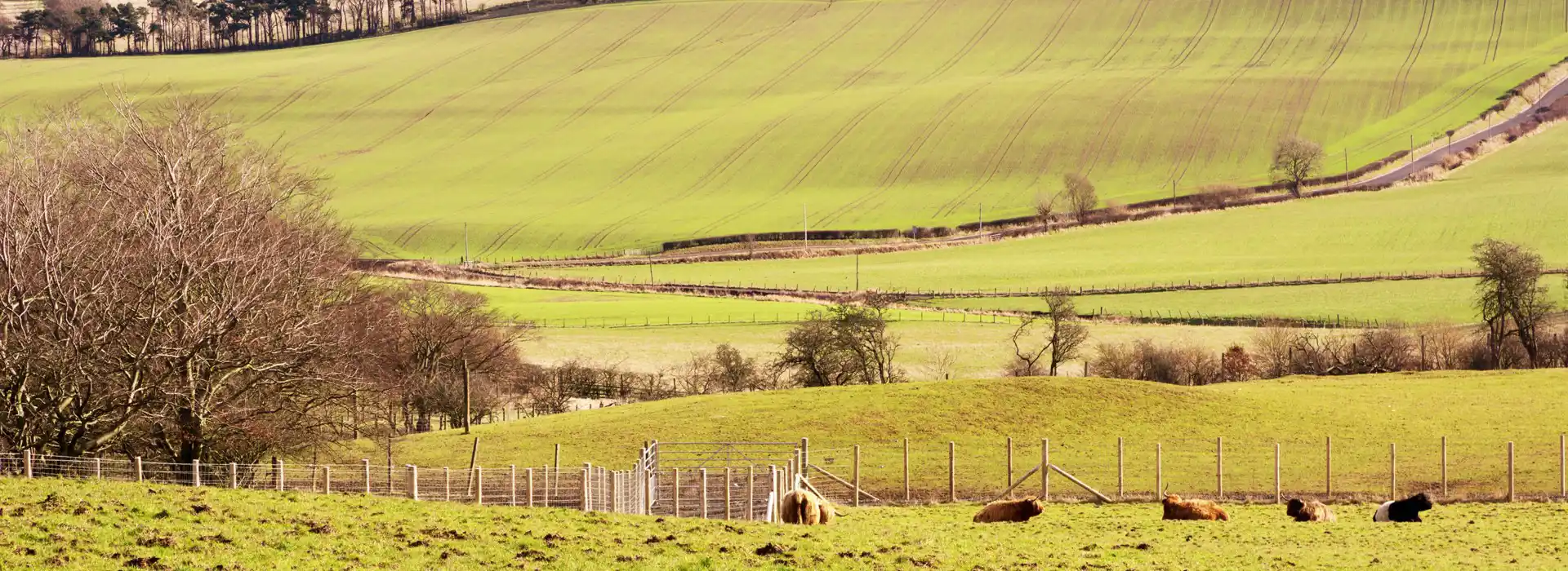 Campsites near Beecraigs Country Park