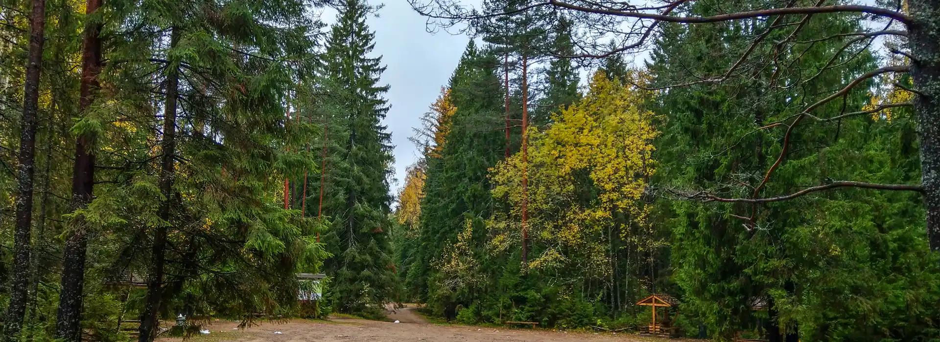 Campsites near Sherwood Pines Forest Park