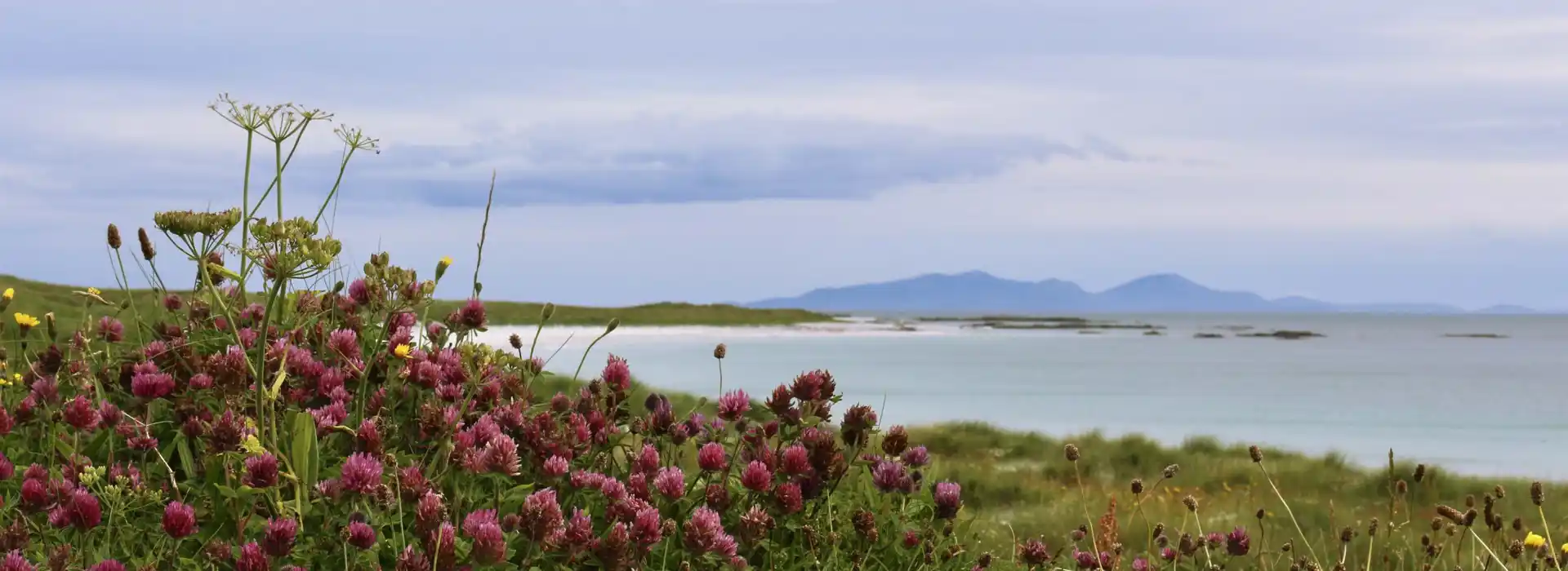 Campsites near Balranald Hebridean Nature Reserve