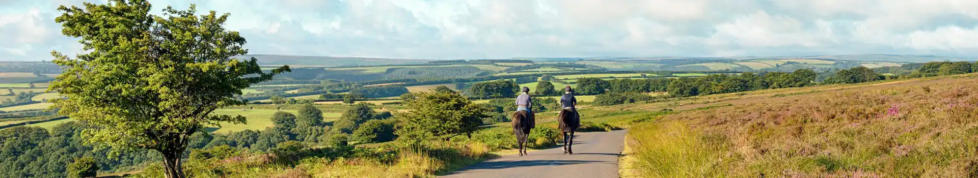 Campsites near Dunkery Hill