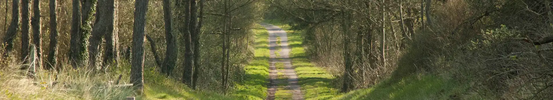 Campsites near Pembrey Country Park