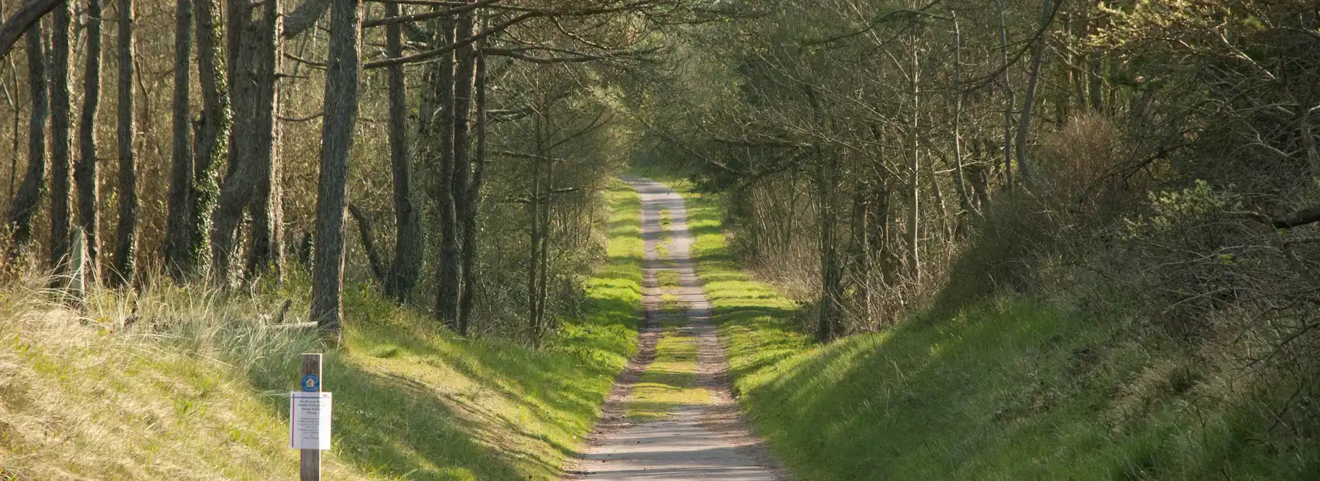 Campsites near Pembrey Country Park