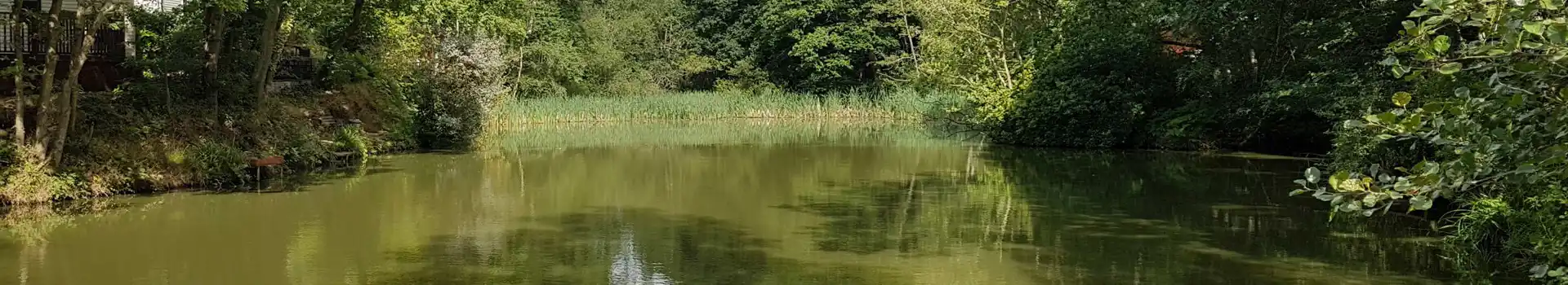 Campsites near Wyre Forest