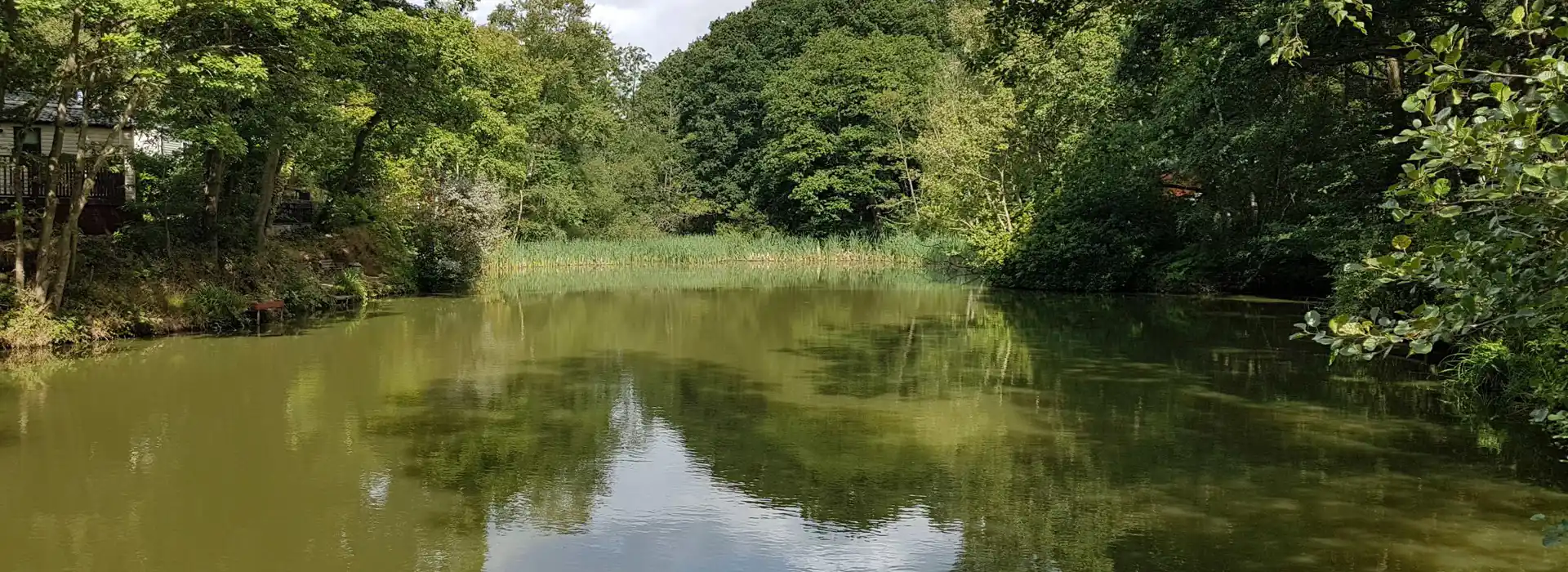 Campsites near Wyre Forest