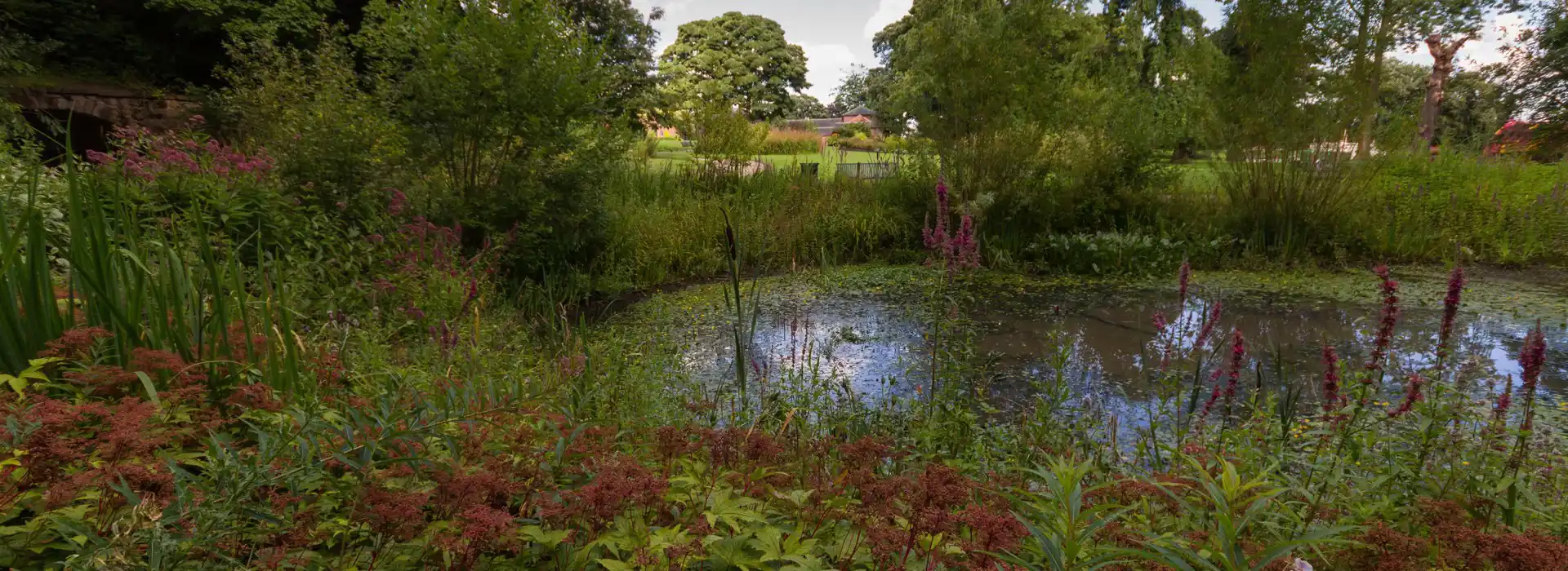 Campsites near Heaton Park