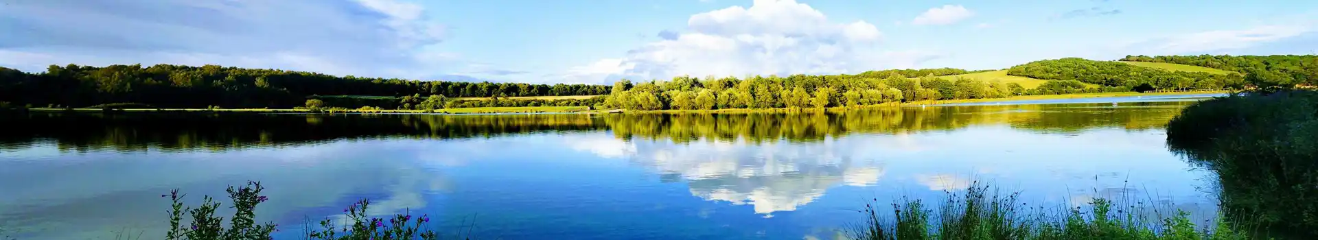 Campsites near Rother Valley Country Park