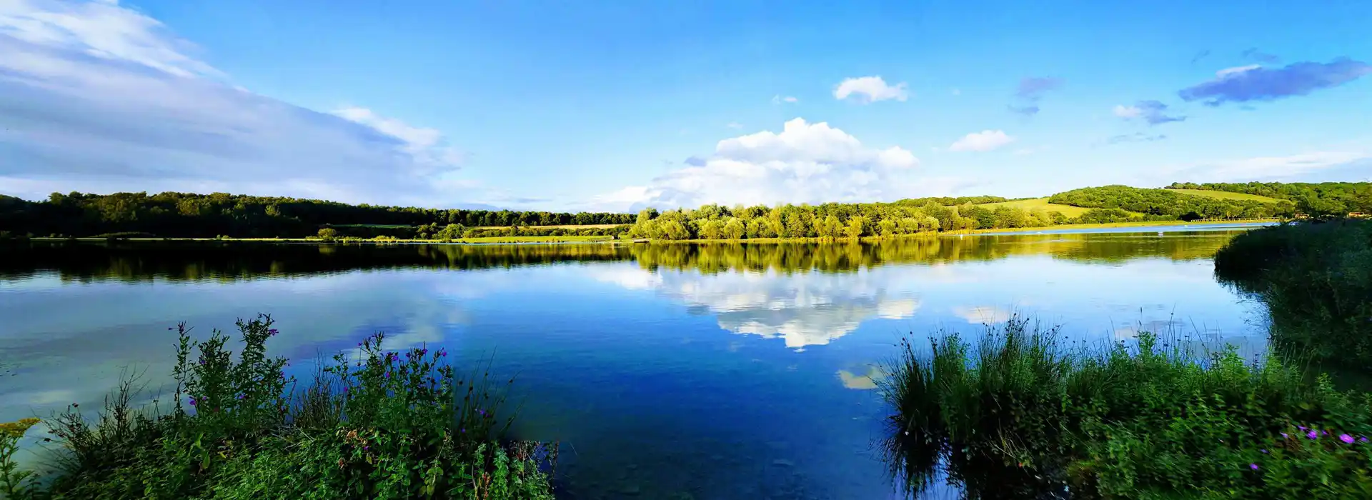 Campsites near Rother Valley Country Park