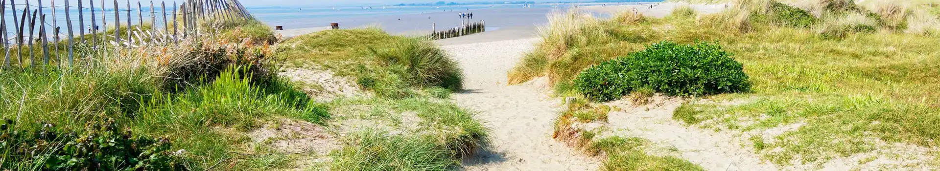 Campsites near West Wittering beach
