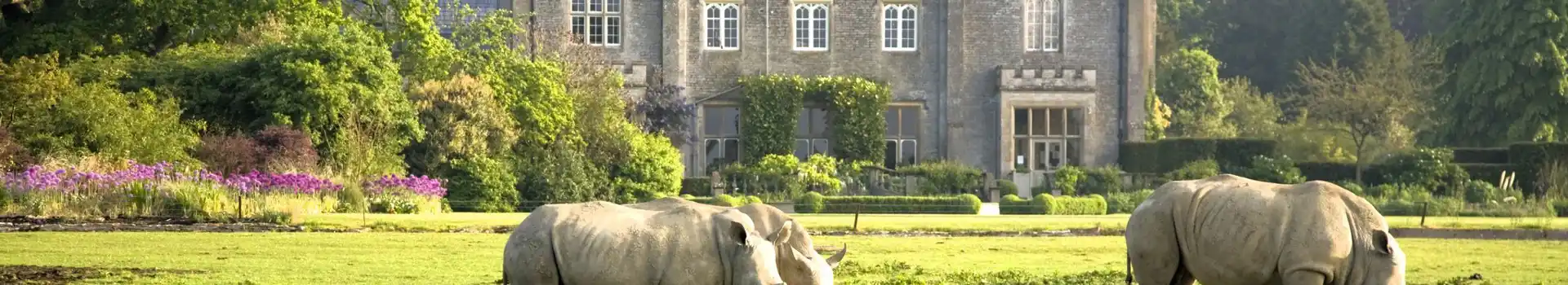 Campsites near Cotswold Wildlife Park