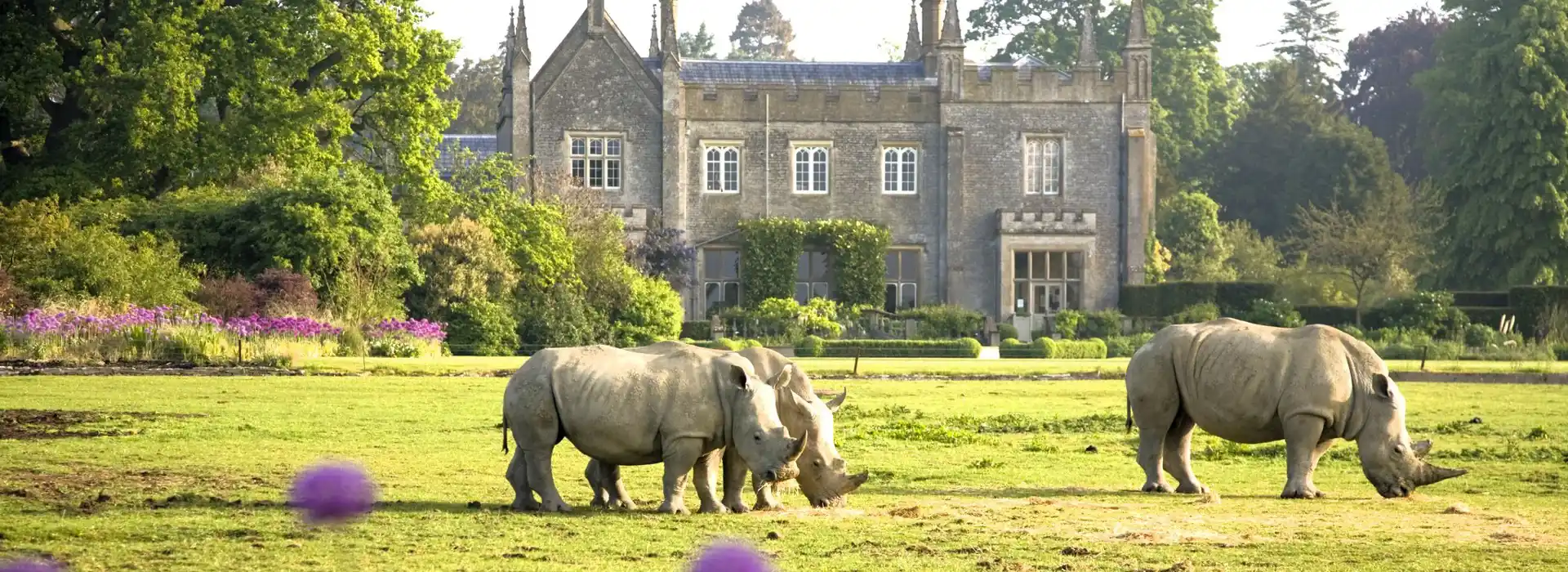 Campsites near Cotswold Wildlife Park