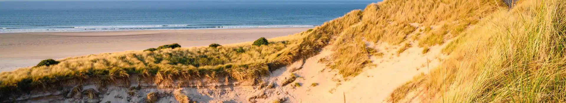 Campsites near Budle Bay