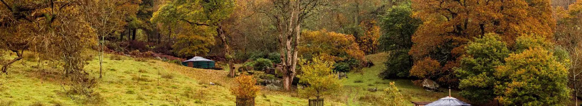 Campsites near Rydal Mount