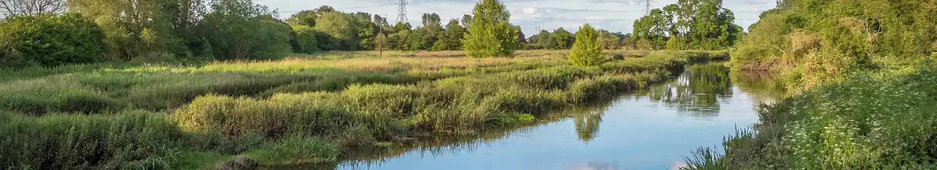Campsites near Attingham Park