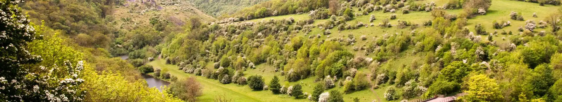 Campsites near Monsal Head