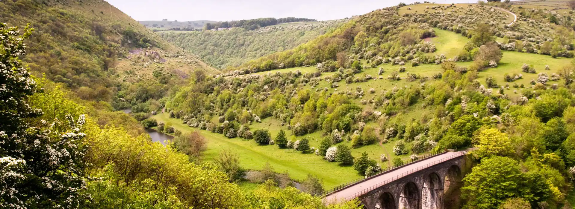 Campsites near Monsal Head