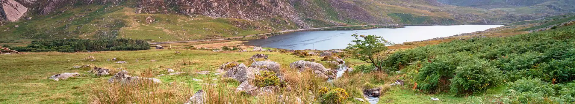 Campsites near Tryfan