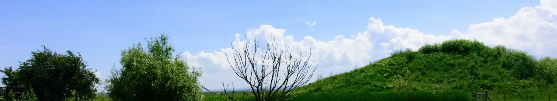 Campsites near Elmley National Nature Reserve