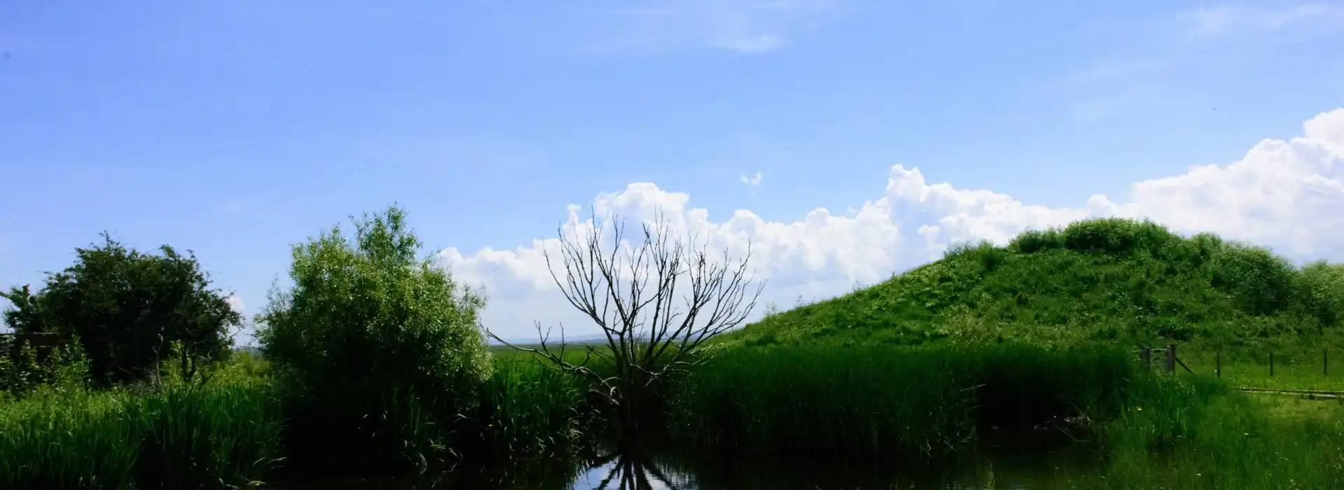 Campsites near Elmley National Nature Reserve 