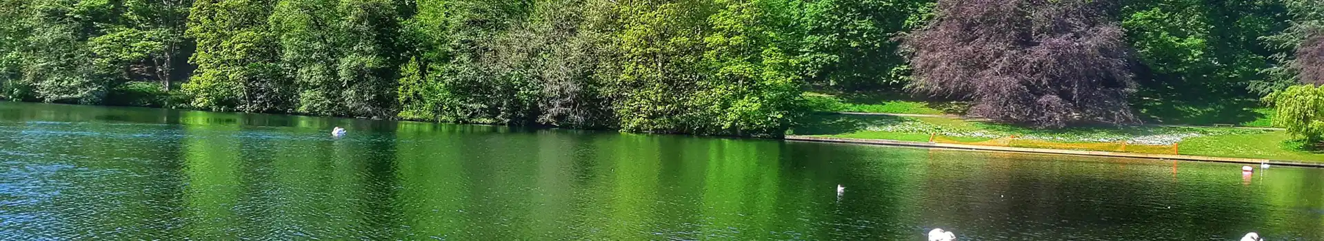 Campsites near Roundhay Park