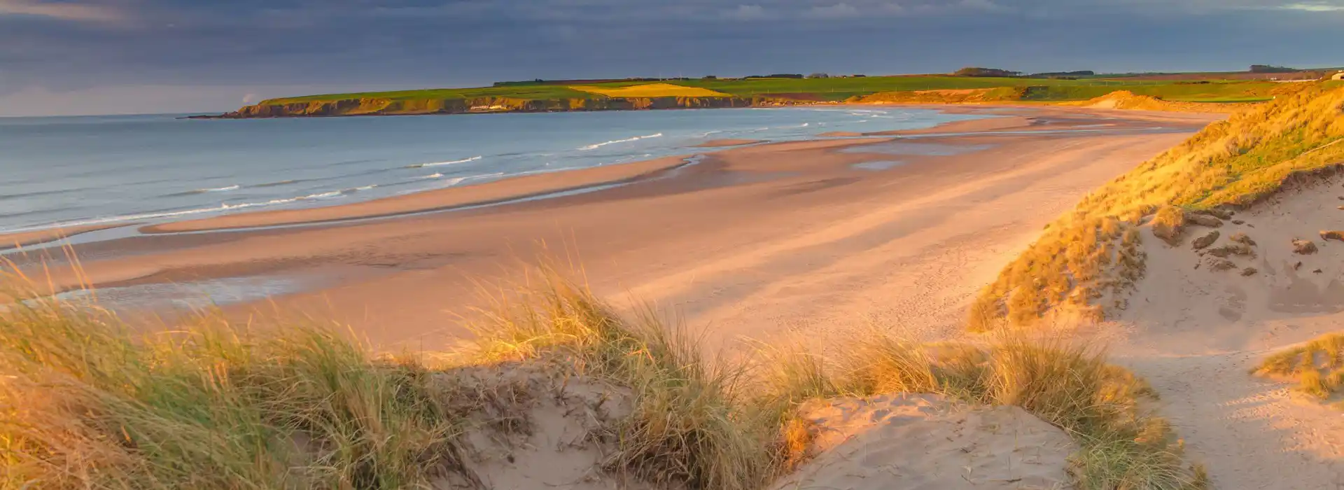 Campsites near Lunan Bay