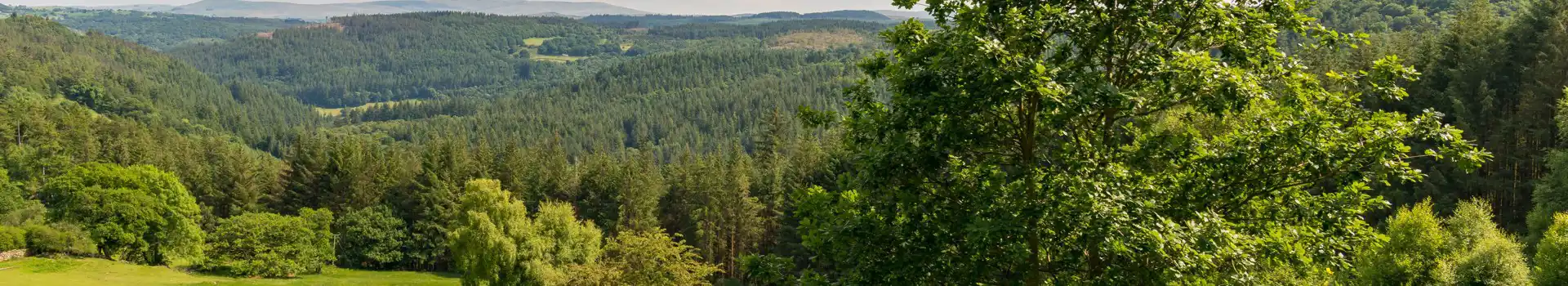 Campsites near Gwydir Forest Park