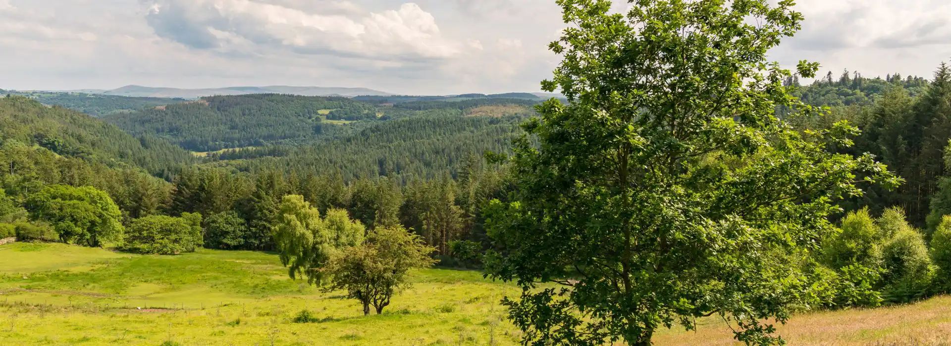 Campsites near Gwydir Forest Park