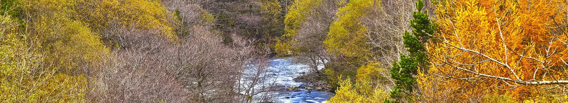 Campsites near Afan Forest Park